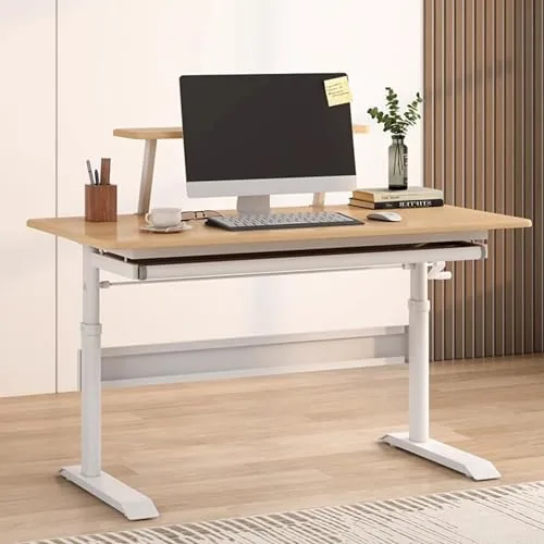 FEEGAR · Escritorio regulable en altura 120 × 60 cm con cajón y estante
