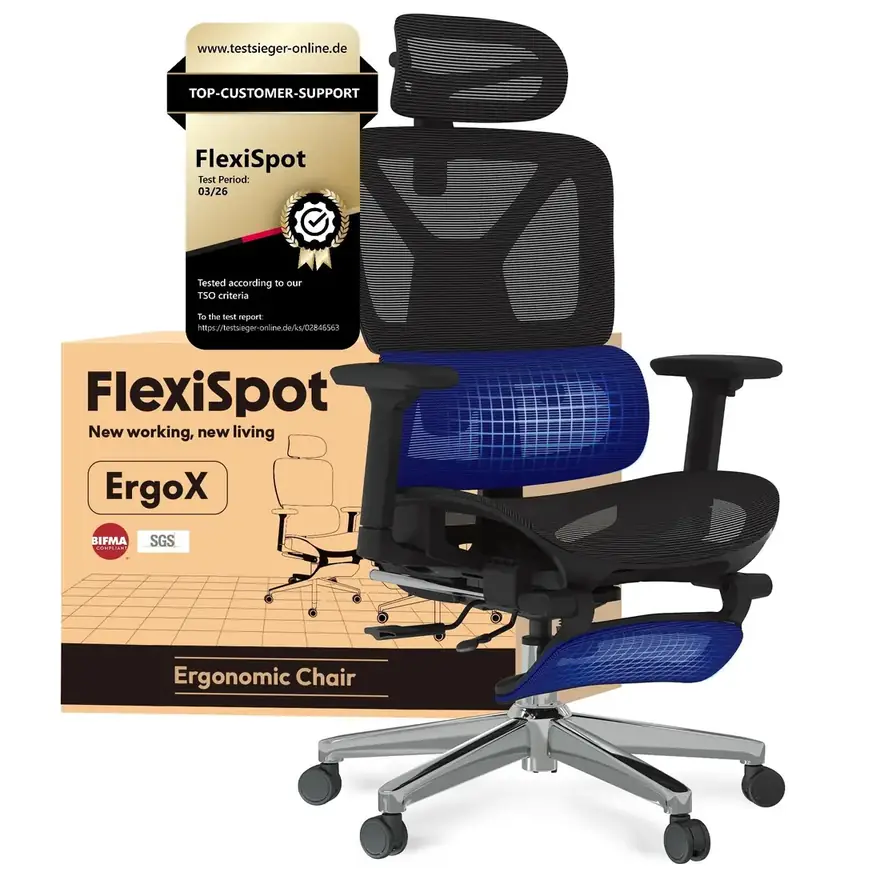 FLEXISPOT ErgoX · Silla ergonómica con respaldo 5D, reposacabezas 3D y reposapiés