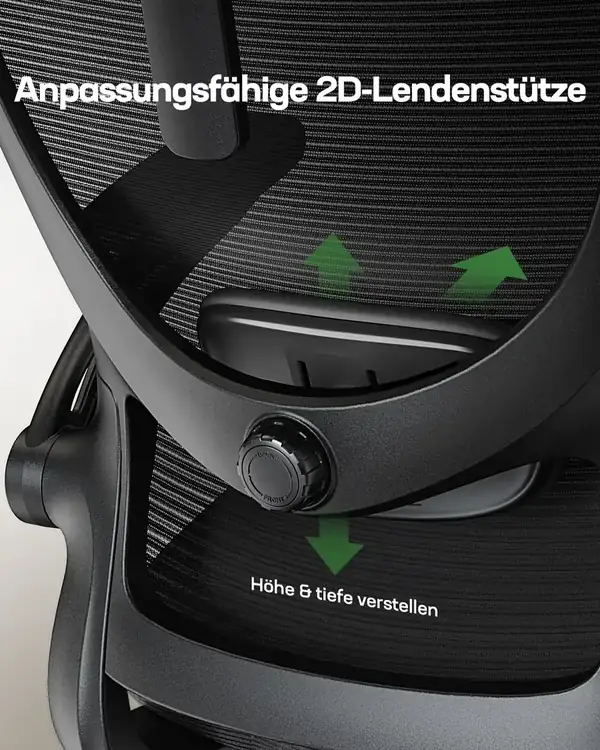 Marsail MSOC10B · Silla ergonómica con reposacabezas y lumbar 2D — vista 5
